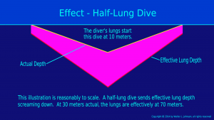 Half lung