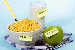 Еда - источник калорий для организма