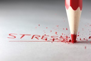 потребление энергии мозгом человека в процентах. stress. потребление энергии мозгом человека в процентах фото. потребление энергии мозгом человека в процентах-stress. картинка потребление энергии мозгом человека в процентах. картинка stress.