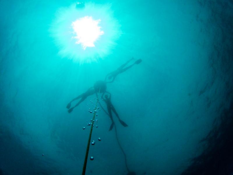 Подводное фото с тренировки. Снизу вверх